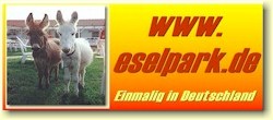 Werbung fr zur Homepage